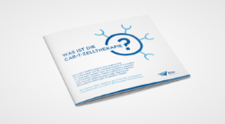 Zeichnung von Flyer Zelltherapie