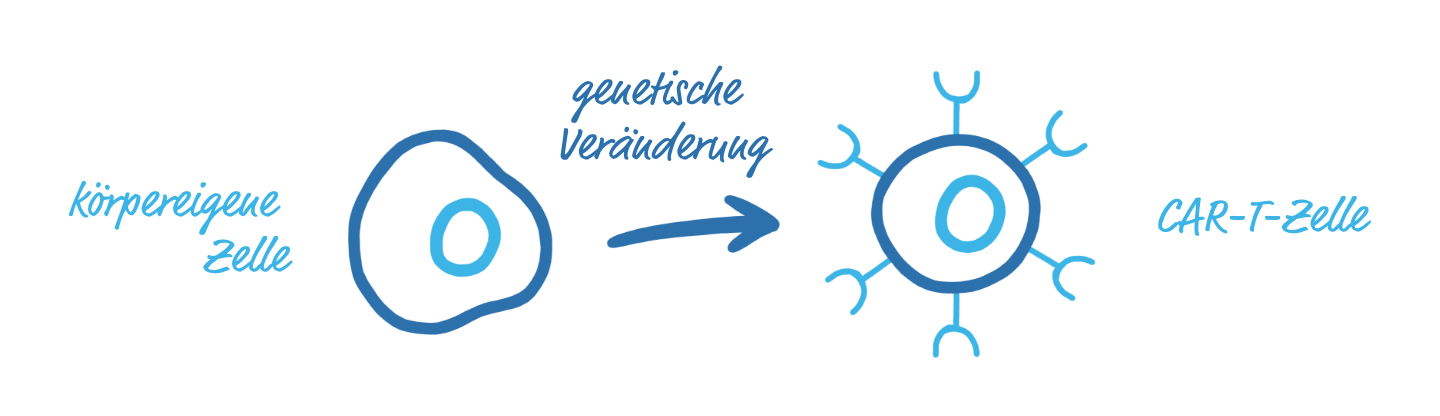 Zeichnung einer Zelle die durch gentechnische Veränderung zu einer CAR-T Zelle wird
