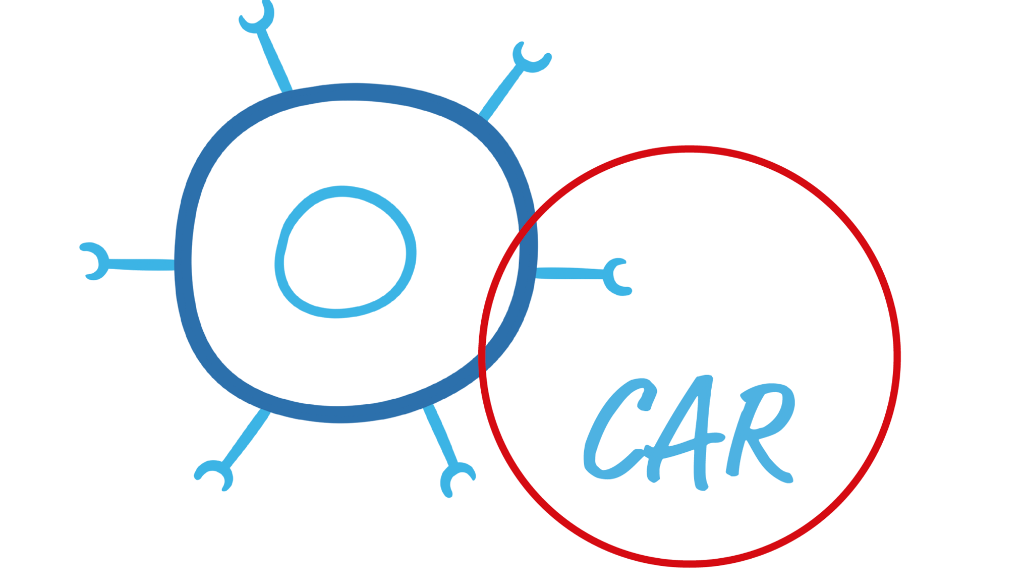 Illustration einer CAR-T-Zelle mit chimären Antigenrezeptoren, einer davon hervorgehoben durch einen roten Kreis
