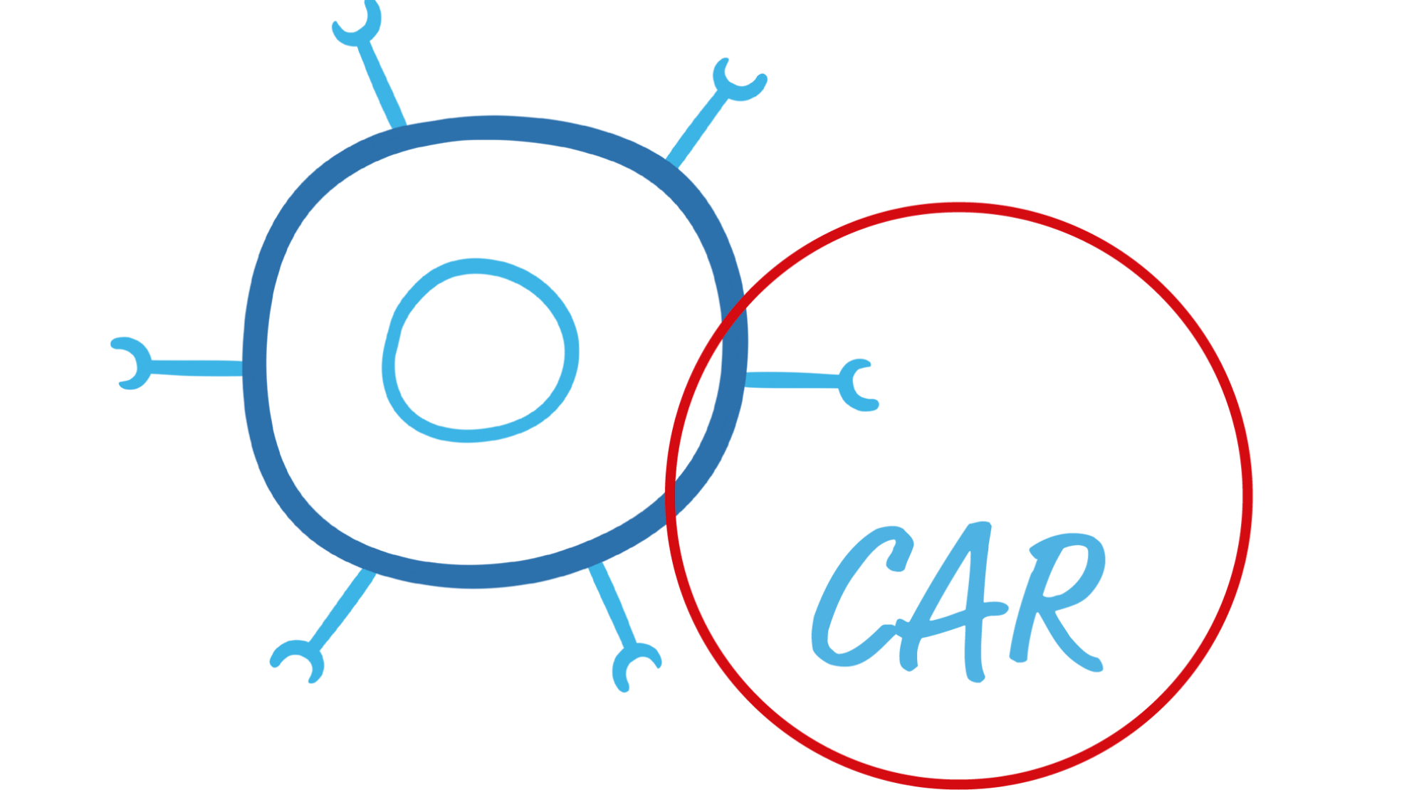 Illustration einer CAR-T-Zelle mit chimären Antigenrezeptoren, einer davon hervorgehoben durch einen roten Kreis