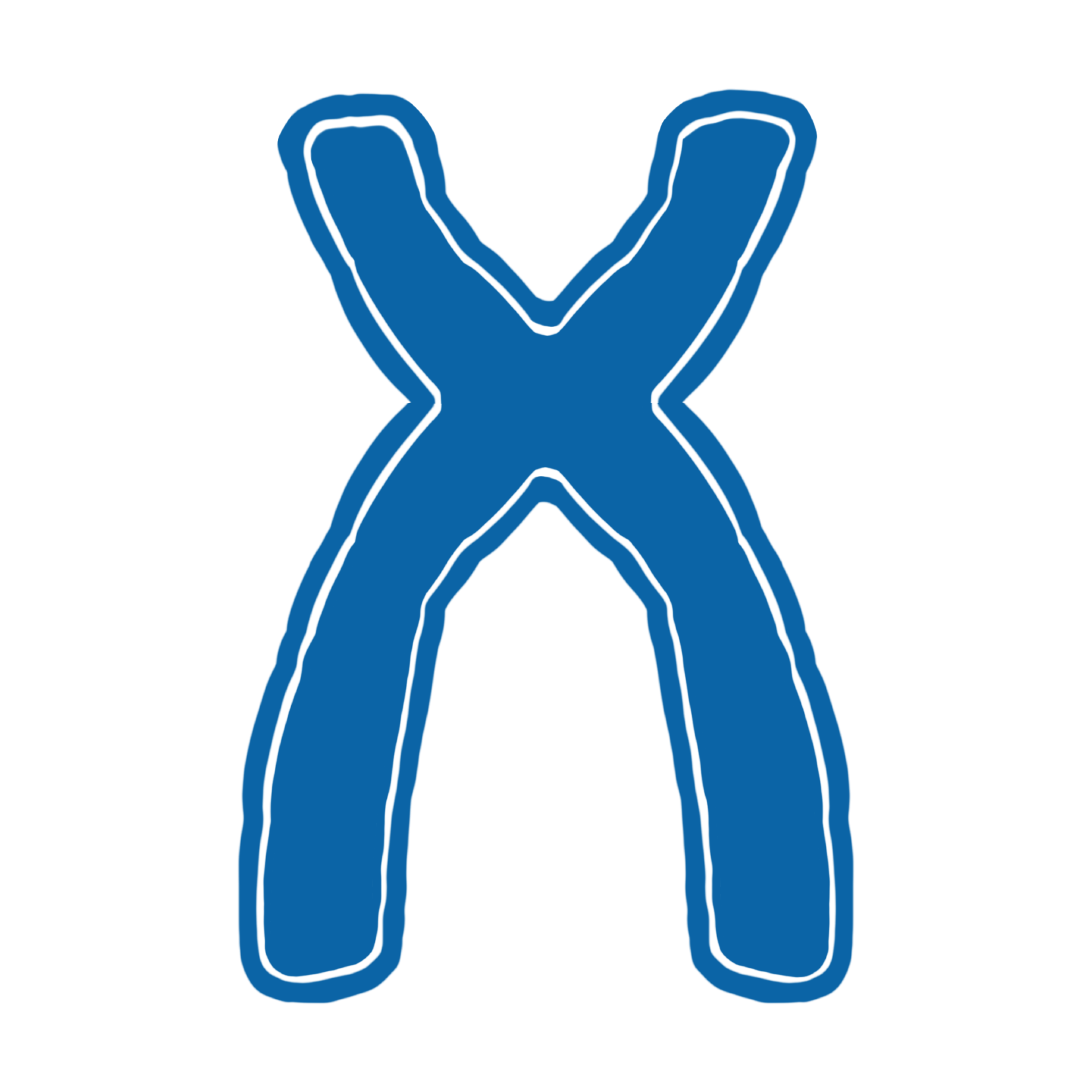 Illustriertes Chromosom