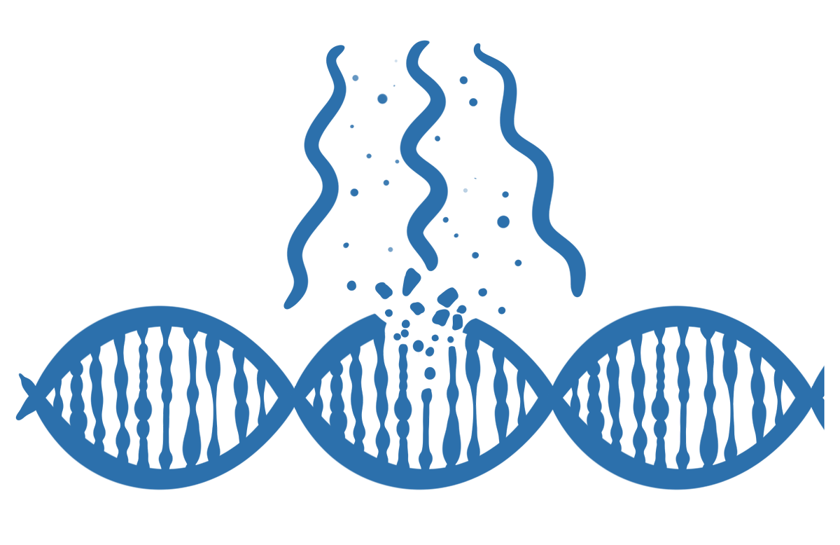 Illustration einer geschädigten DNA