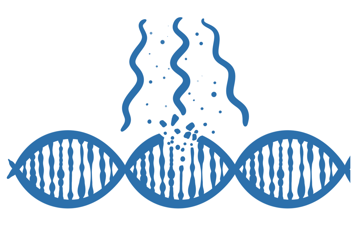 Illustration einer geschädigten DNA