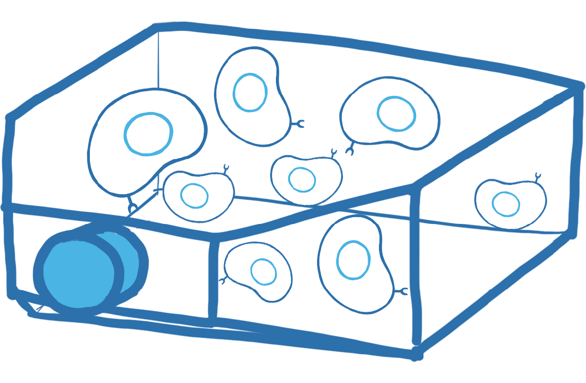 Illustrierte Darstellung einer liegenden, rechteckigen Inkubationsflasche. In der Inkubationsfalsche sind 8 Stammzellen.