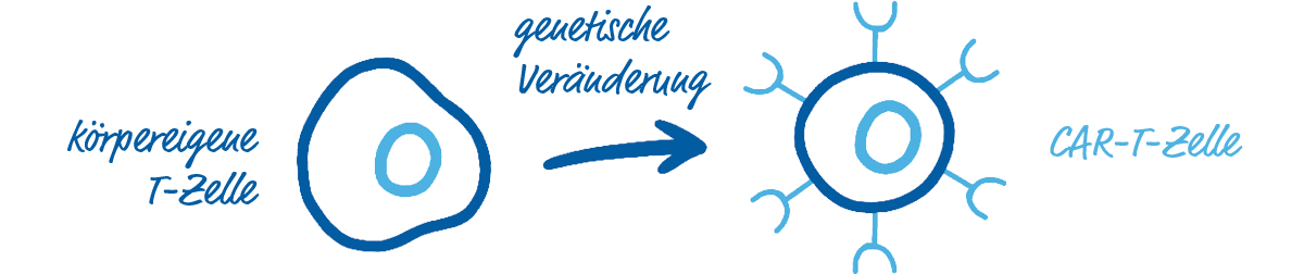 Körpereigenen Zelle ohne Oberflächenrezeptoren wird durch genetische Veränderung zu einer CAR-T-Zelle mit chimärem Antigenrezeptor